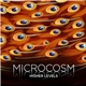 Microcosm - Higher Levels